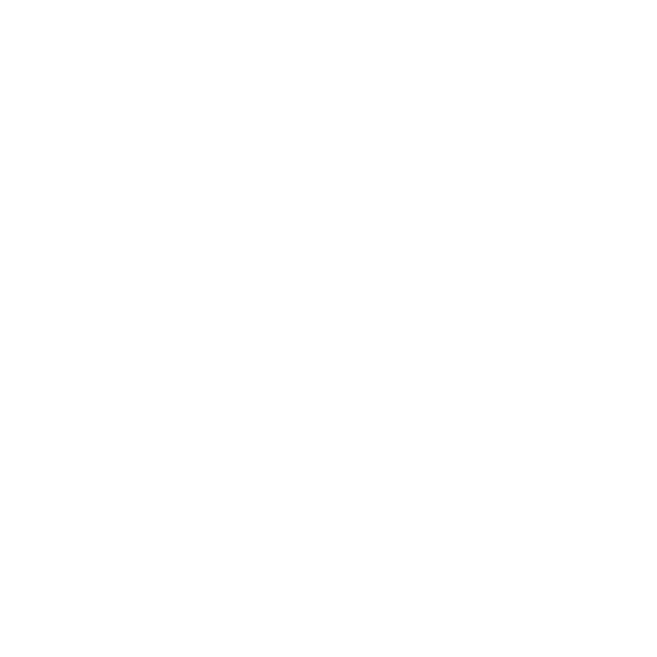 Term Finance logo