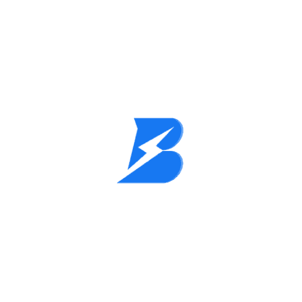 PayBolt Wallet logo